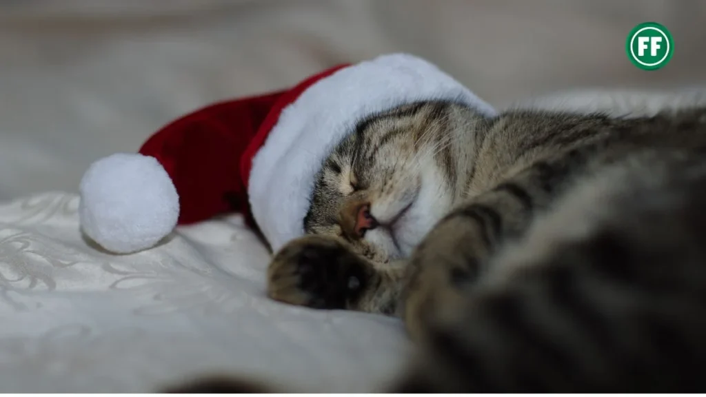 how to fall asleep on christmas